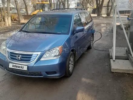 Honda Odyssey 2007 года за 6 800 000 тг. в Алматы – фото 2