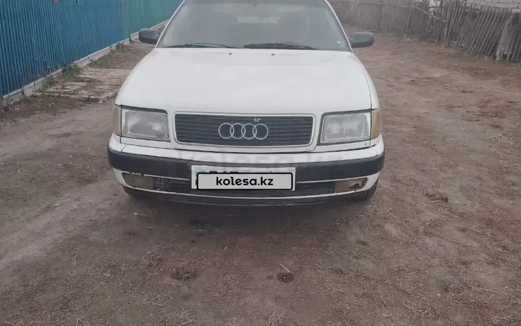 Audi 100 1993 годаүшін1 500 000 тг. в Балкашино