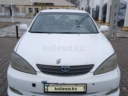 Toyota Camry 2003 года за 3 500 000 тг. в Шиели