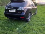 Lexus RX 350 2010 года за 13 000 000 тг. в Усть-Каменогорск – фото 4