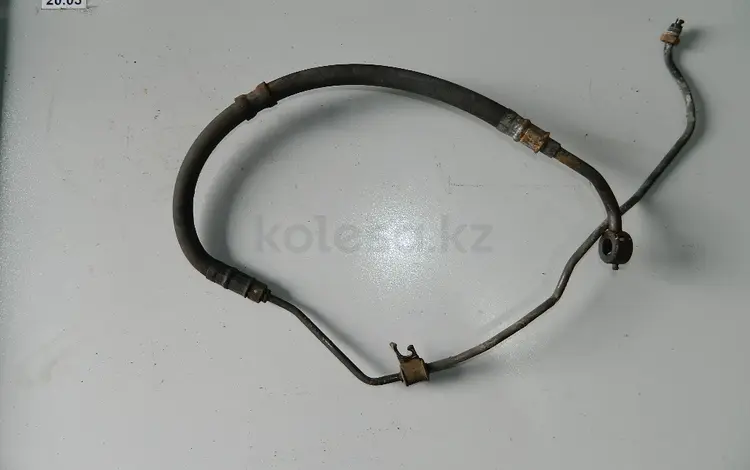 ШЛАНГ ГУРА за 20 000 тг. в Алматы