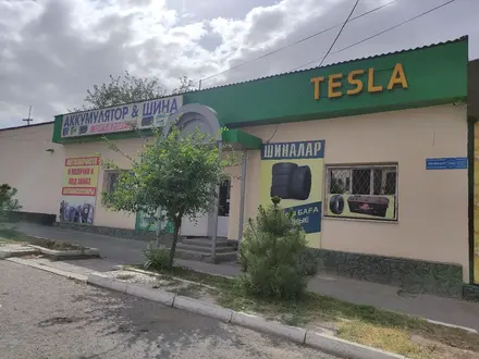 Tesla в Тараз