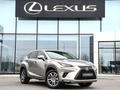 Lexus NX 300 Executive 2019 года за 15 500 000 тг. в Шымкент – фото 19
