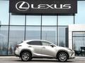 Lexus NX 300 Executive 2019 года за 15 500 000 тг. в Шымкент – фото 17