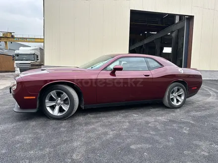 Dodge Challenger 2019 года за 20 000 000 тг. в Алматы – фото 7