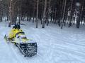 BRP  Ski-Doo Summit 800 2016 года за 3 600 000 тг. в Астана – фото 7