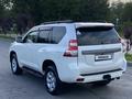 Toyota Land Cruiser Prado 2014 года за 15 200 000 тг. в Шымкент – фото 6