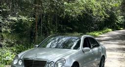 Mercedes-Benz E 500 2002 годаүшін4 400 000 тг. в Алматы – фото 4