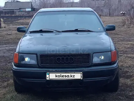 Audi 100 1992 года за 2 550 000 тг. в Петропавловск
