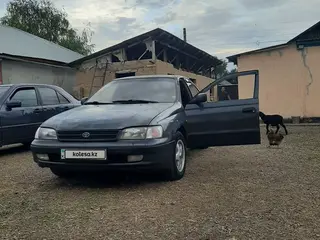 Toyota Carina E