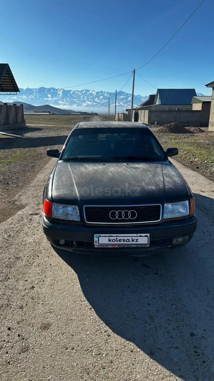 Audi 100, 1993