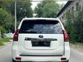 Toyota Land Cruiser Prado 2020 года за 27 450 000 тг. в Алматы – фото 3