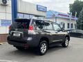 Toyota Land Cruiser Prado 2013 годаүшін16 900 000 тг. в Алматы – фото 5