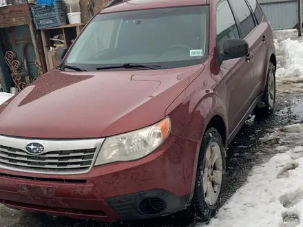 Subaru Forester 2009 года за 6 700 000 тг. в Уральск – фото 9