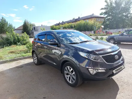 Kia Sportage 2014 года за 8 200 000 тг. в Павлодар – фото 11