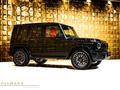 Mercedes-Benz G 63 AMG 2025 годаүшін165 000 000 тг. в Алматы – фото 9