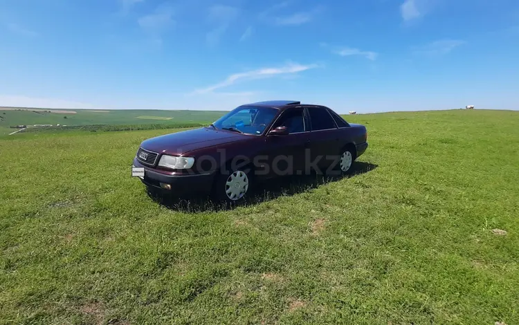 Audi 100 1991 года за 2 100 000 тг. в Шолаккорган