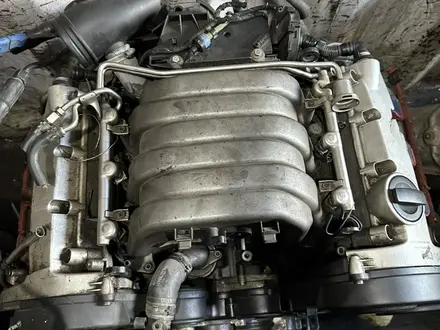 ASN двигатель Audi A4(b6), A6(C5), A8(D3) за 299 000 тг. в Алматы