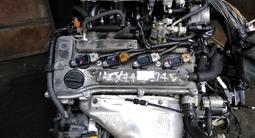 Двигатель Мотор Toyota Avensis D4 2-2.4 литра за 73 800 тг. в Алматы – фото 3