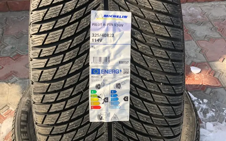 Зимние шины без шипов Michelin Pilot Alpin 5 285/45 R22, 325/40 R22 110V за 2 000 000 тг. в Алматы