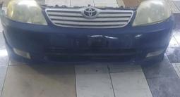 Ноускат носкат бампер фары решетка зеркала Тойота Королла toyota corolla за 10 000 тг. в Астана – фото 2