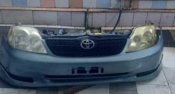 Ноускат носкат бампер фары решетка зеркала Тойота Королла toyota corolla за 10 000 тг. в Астана – фото 4