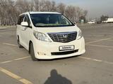 Toyota Alphard 2010 годаүшін11 400 000 тг. в Алматы