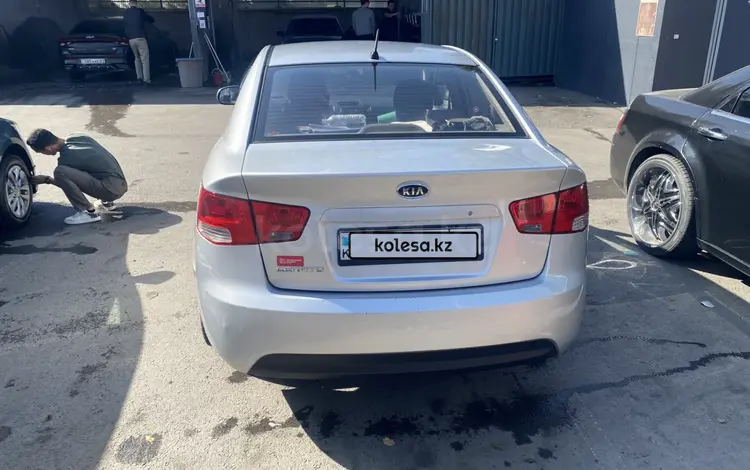 Kia Cerato 2011 года за 3 300 000 тг. в Алматы