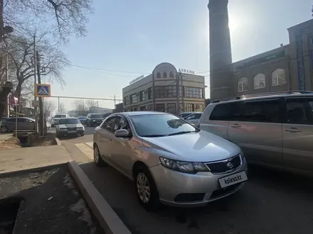 Kia Cerato 2011 года за 3 300 000 тг. в Алматы – фото 7