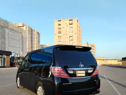 Toyota Alphard 2010 года за 8 000 000 тг. в Актау – фото 6