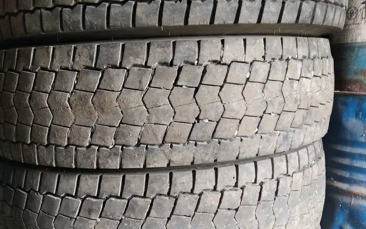 295/80R22.5for55 000 тг. в Усть-Каменогорск