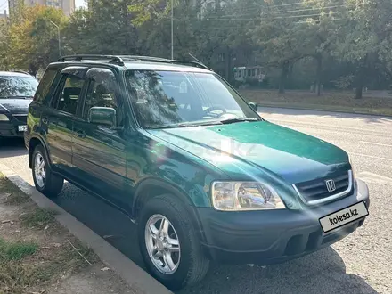 Honda CR-V 2001 года за 4 200 000 тг. в Алматы – фото 4