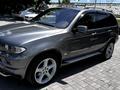 BMW X5 2004 года за 6 800 000 тг. в Тараз – фото 9