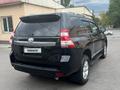 Toyota Land Cruiser Prado 2013 годаfor15 500 000 тг. в Алматы – фото 5