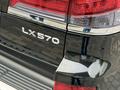 Lexus LX 570 2013 годаүшін28 000 000 тг. в Шымкент – фото 12