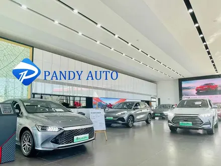 Tangshan Pandy Import& Export Co., Ltd в Другой город в Китае – фото 2