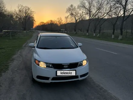 Kia Cerato 2011 года за 4 200 000 тг. в Алматы – фото 2