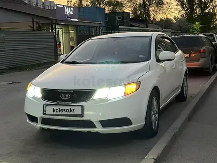 Kia Cerato 2011 года за 4 200 000 тг. в Алматы – фото 3