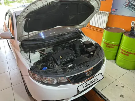Kia Cerato 2011 года за 4 200 000 тг. в Алматы – фото 7