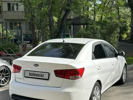 Kia Cerato 2011 года за 4 200 000 тг. в Алматы – фото 9