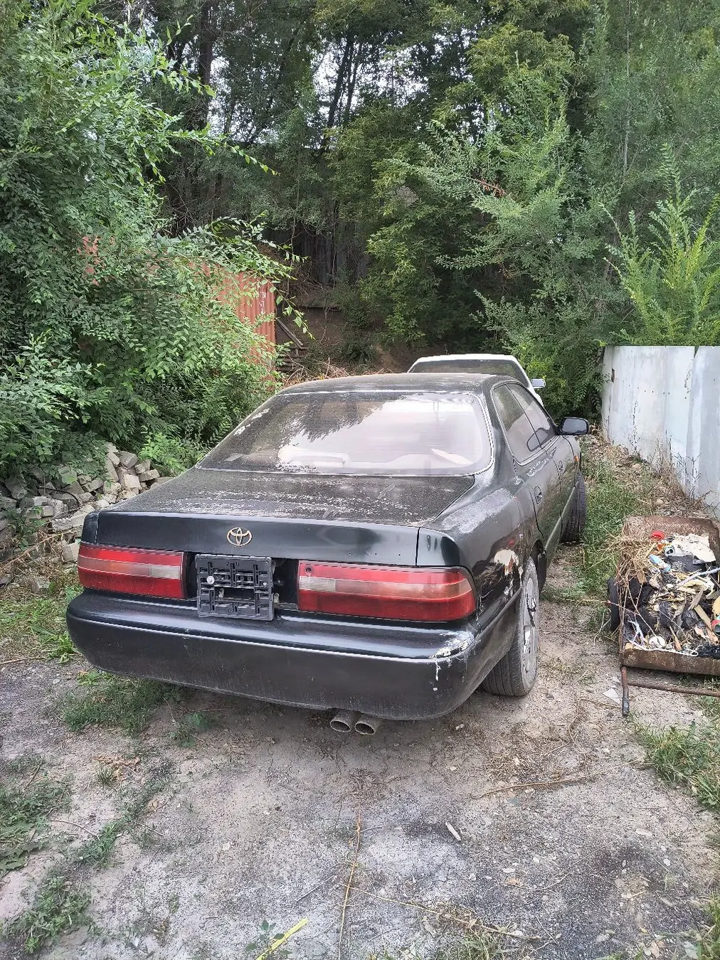 Toyota Windom, 1995