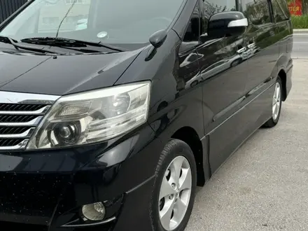 Toyota Alphard 2006 года за 10 400 000 тг. в Шымкент – фото 29