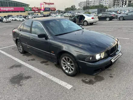 BMW 525 2000 года за 2 800 000 тг. в Алматы – фото 7