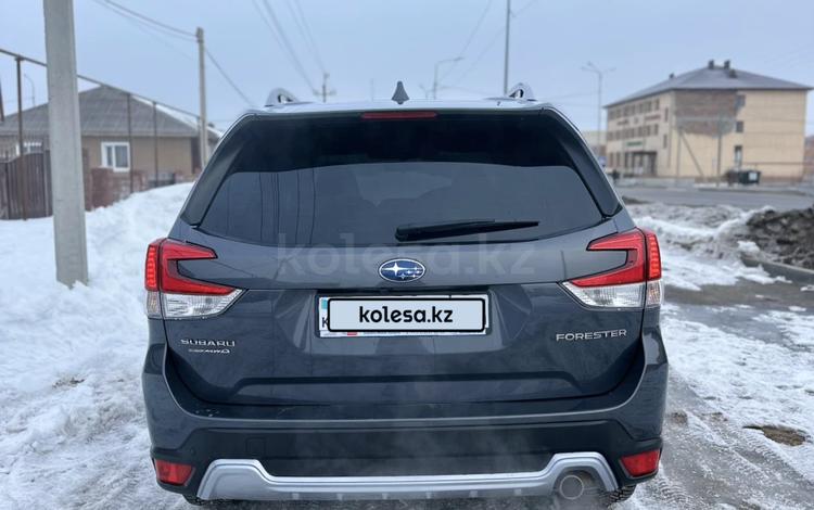 Subaru Forester — миниатюра 4