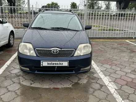 Toyota Corolla 2003 года за 3 500 000 тг. в Алматы
