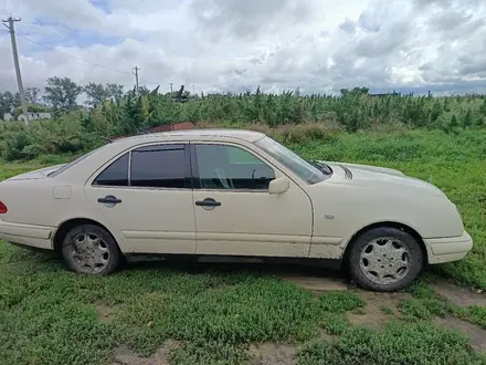 Mercedes-Benz E 220 1997 года за 2 100 000 тг. в Мамлютка – фото 11