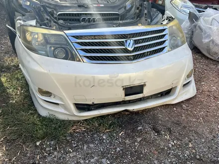 Ноускат альфард Toyota Alphard за 210 000 тг. в Караганда