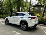 Lexus NX 300 2020 года за 15 690 000 тг. в Алматы – фото 4