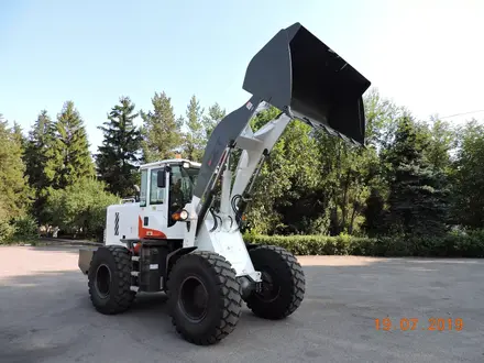 Atlas Weycor  фронтальный погрузчик lw300fn lw 300 fn 2020 года за 12 700 000 тг. в Алматы – фото 68