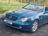 Mercedes-Benz SLK 230 1999 года за 3 300 000 тг. в Шымкент – фото 2